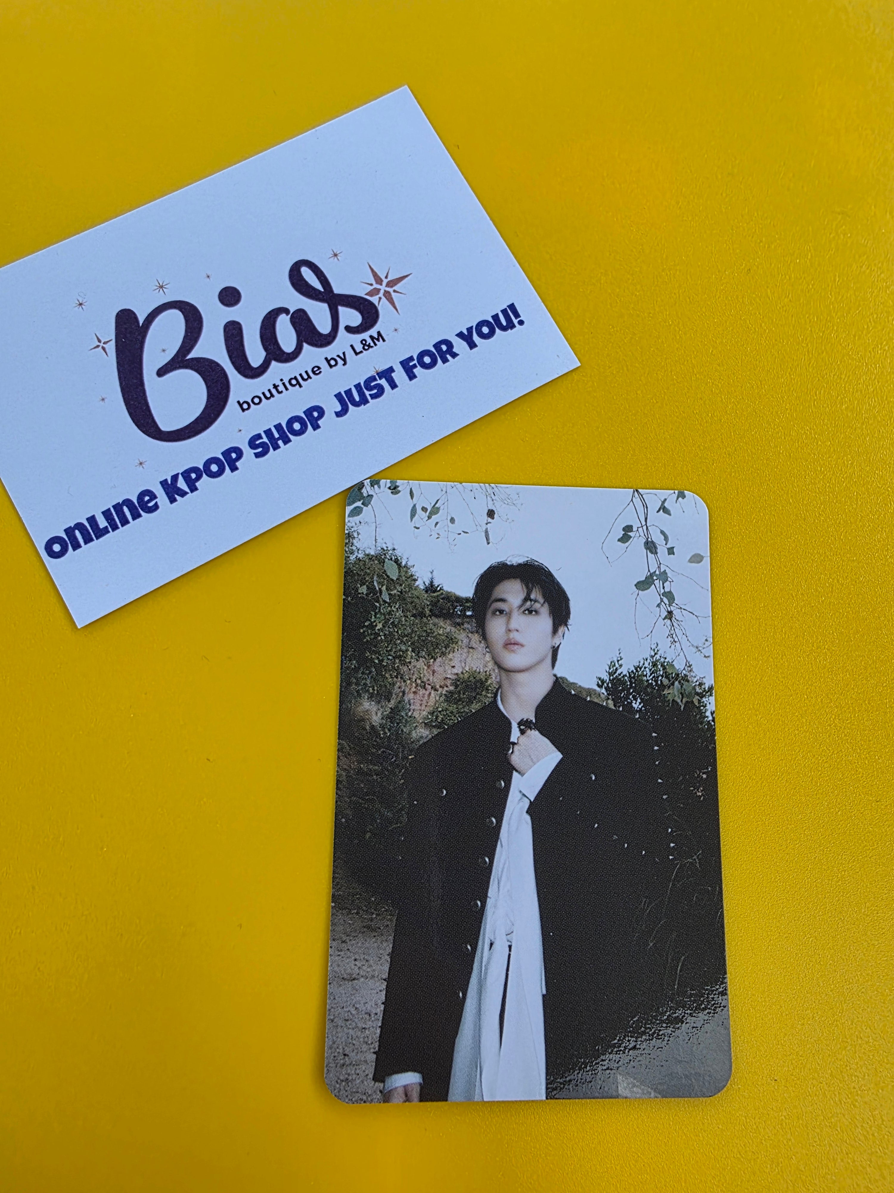 Stray Kids Han PC