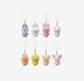 Mini Secret charm