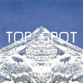 T.O.P